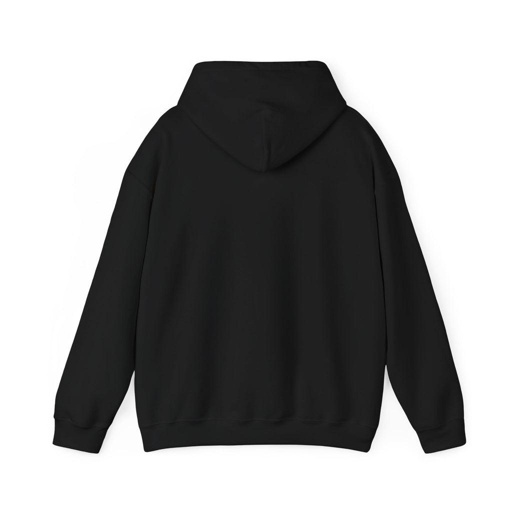 NO KINGS Hoodie – Political Shirt