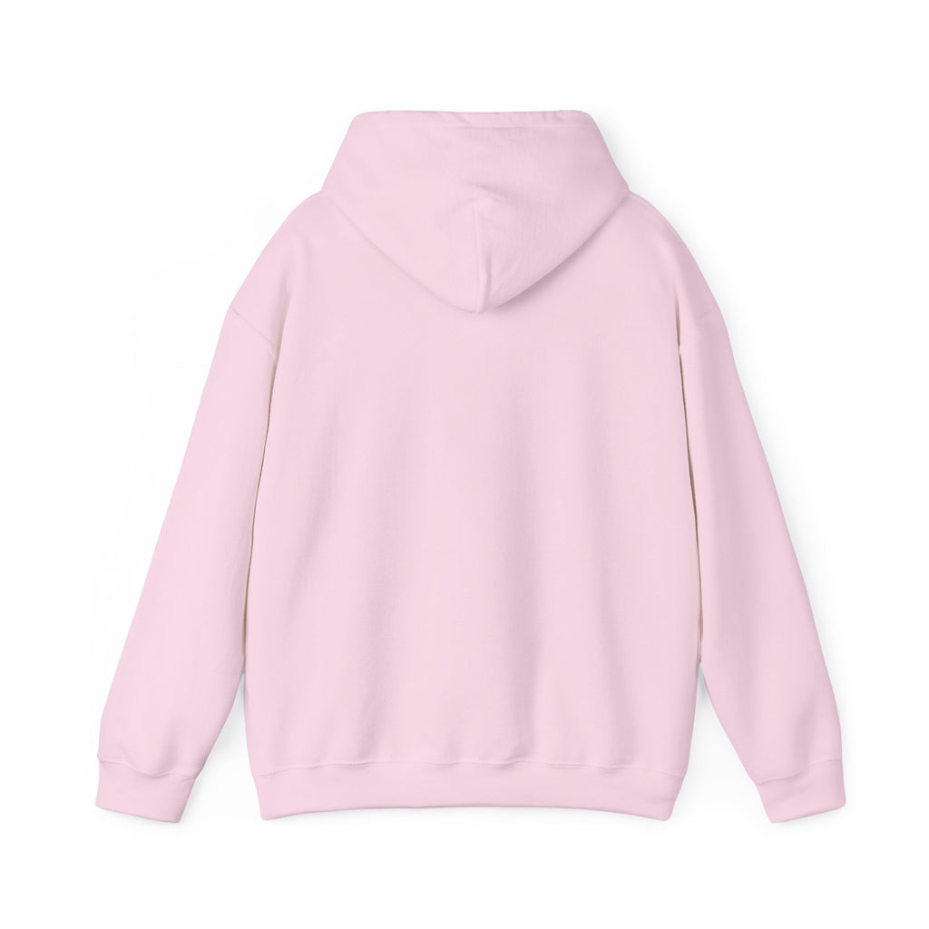 NO KINGS Hoodie – Political Shirt