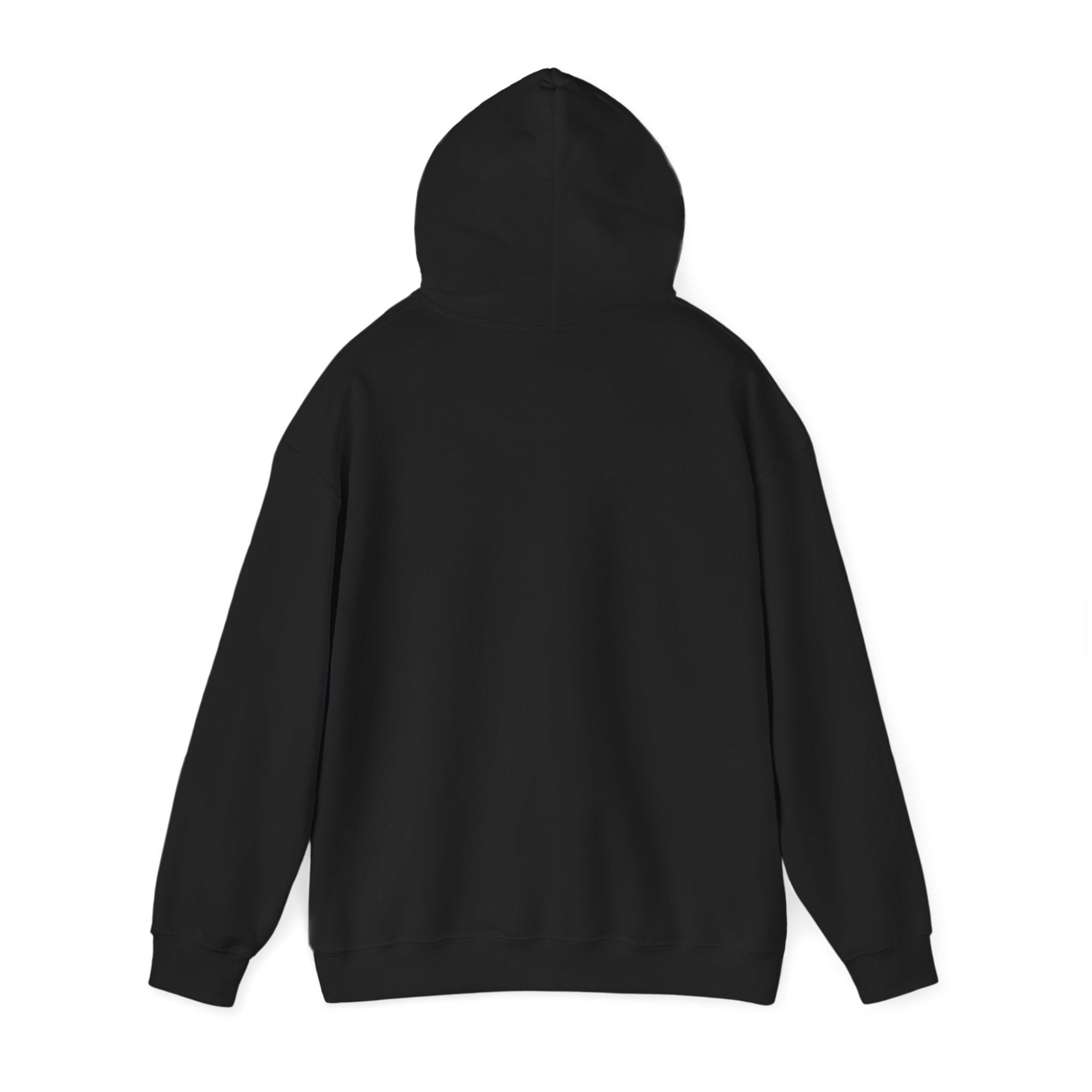 NO KINGS Hoodie – Political Shirt