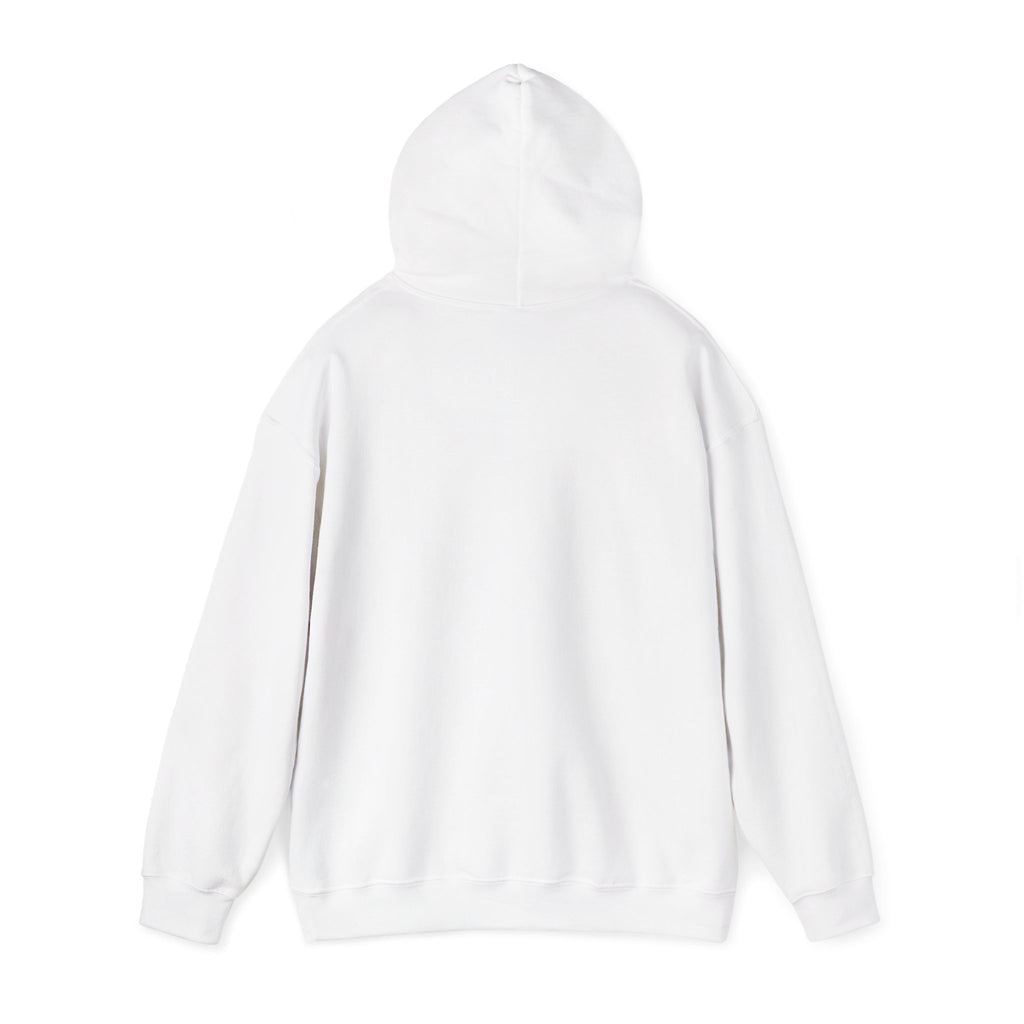 NO KINGS Hoodie – Political Shirt