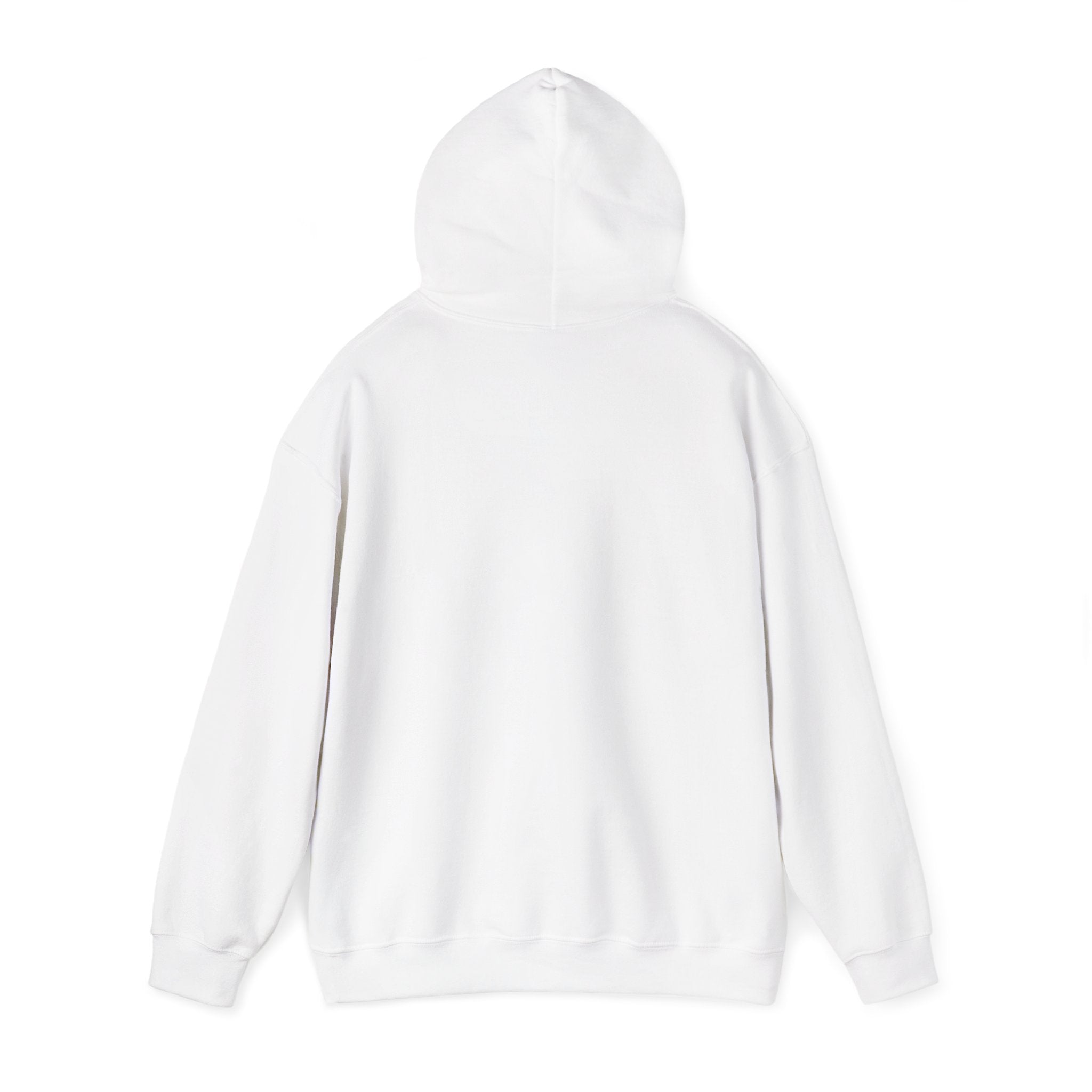 NO KINGS Hoodie – Political Shirt