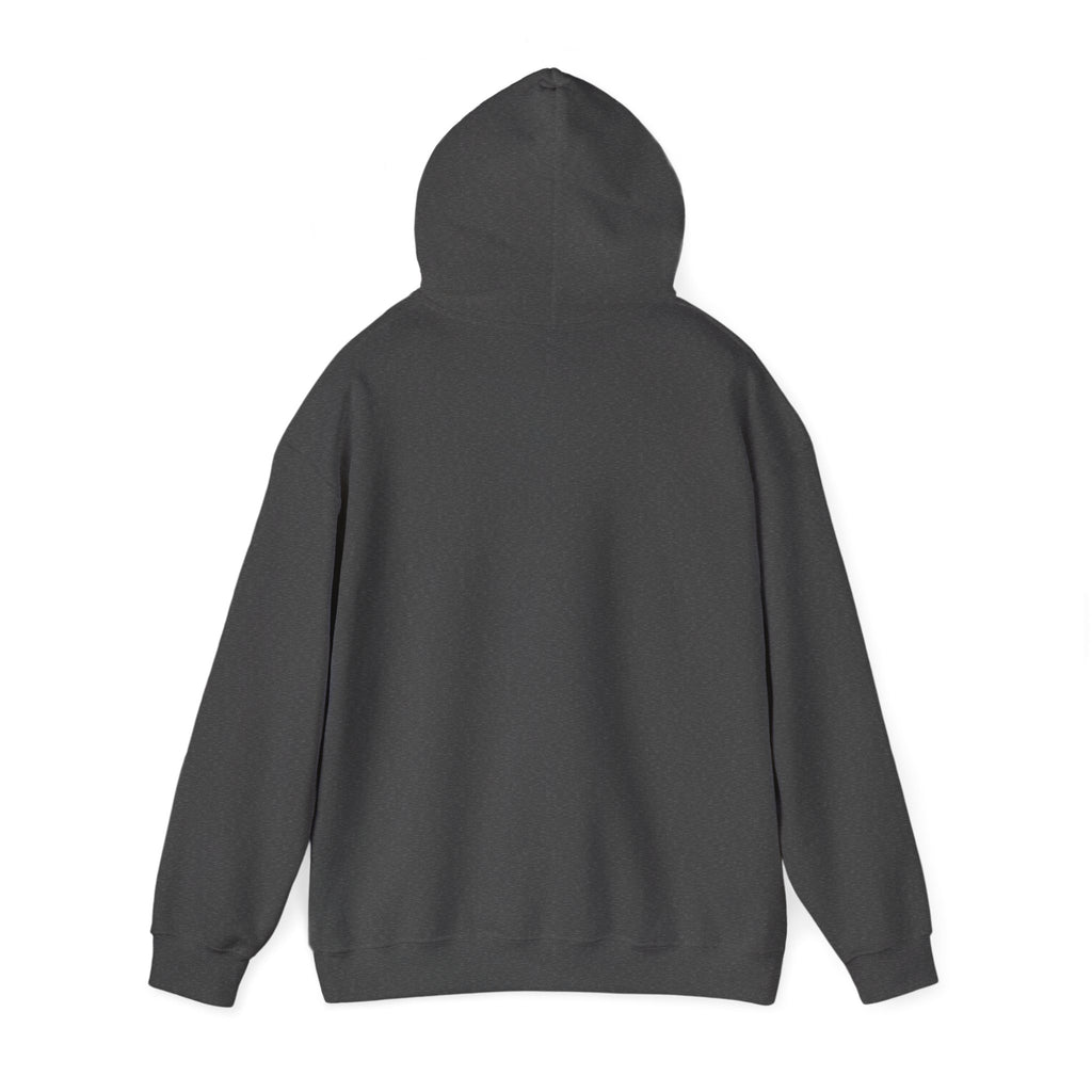 NO KINGS Hoodie – Political Shirt