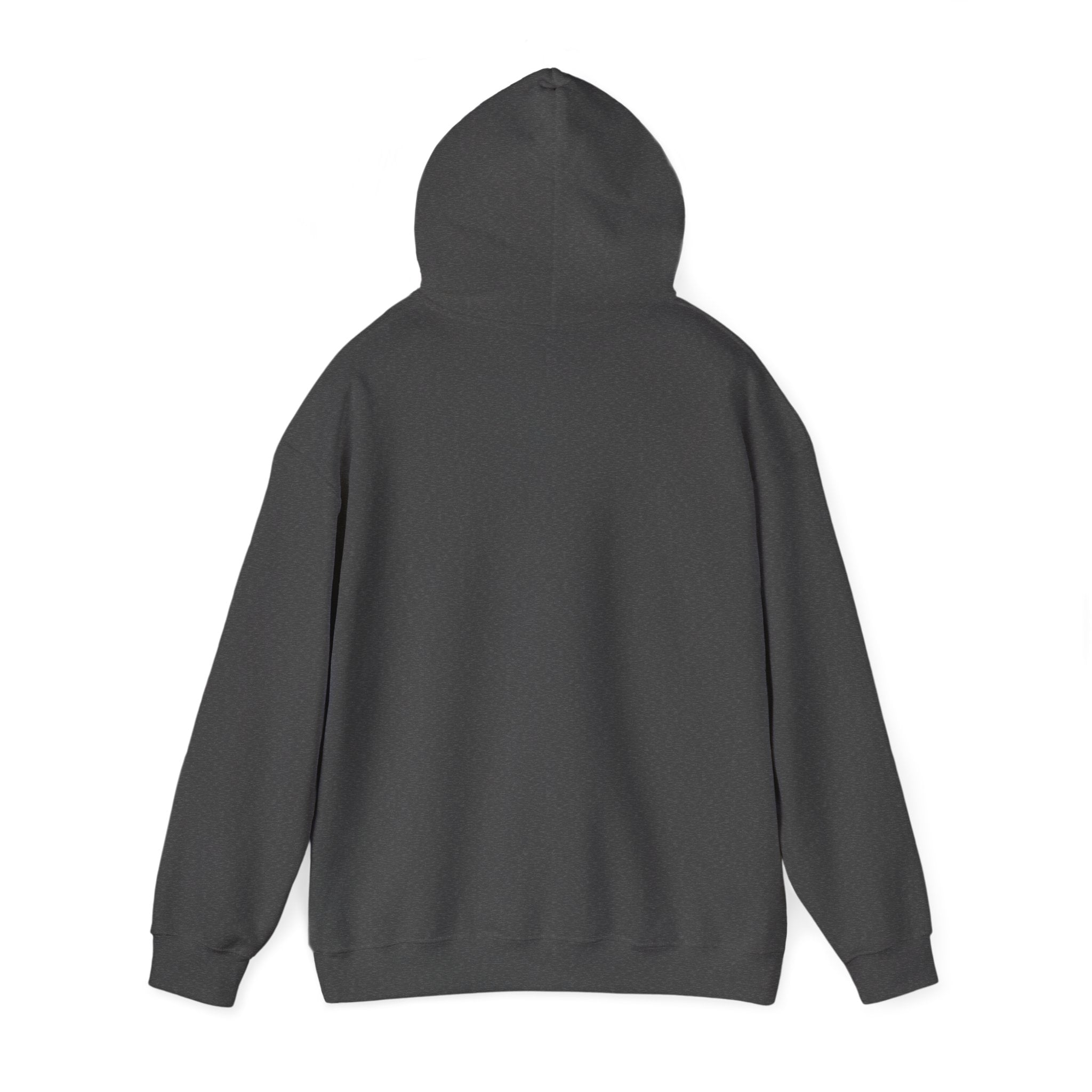 NO KINGS Hoodie – Political Shirt