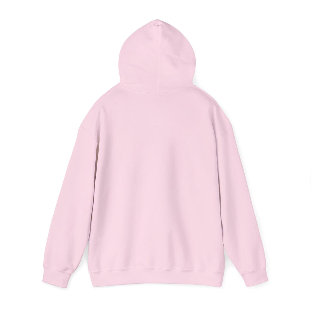 NO KINGS Hoodie – Political Shirt