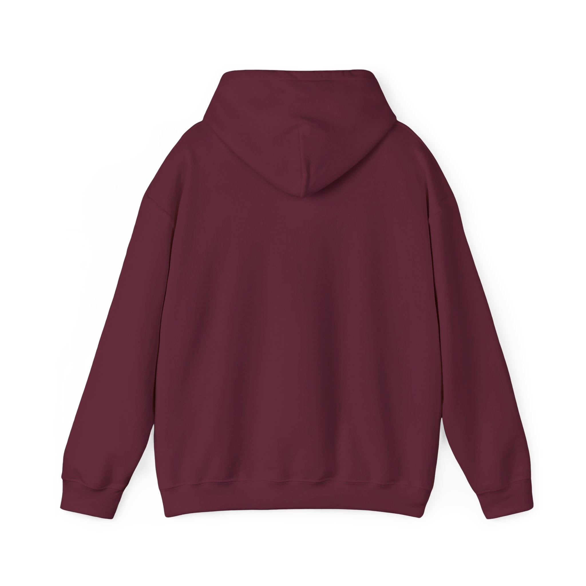 NO KINGS Hoodie – Political Shirt