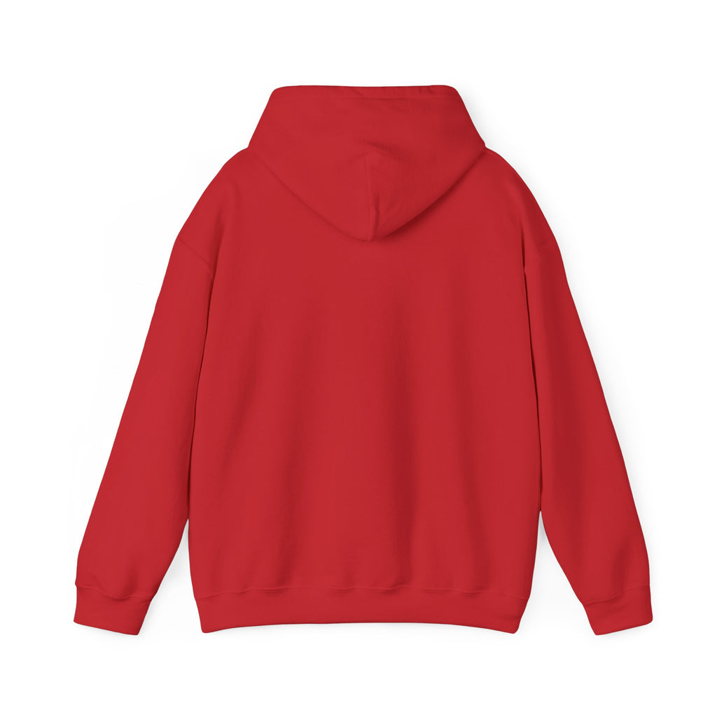 NO KINGS Hoodie – Political Shirt