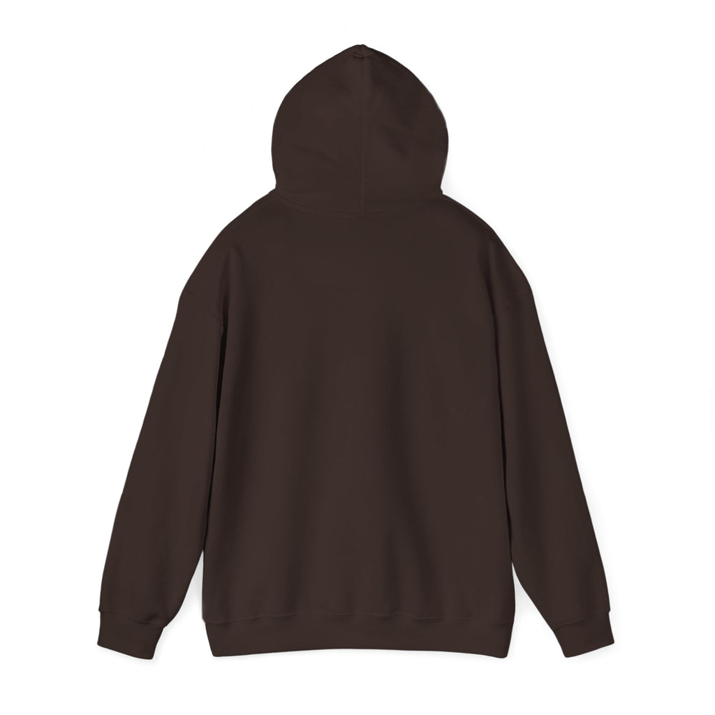 NO KINGS Hoodie – Political Shirt