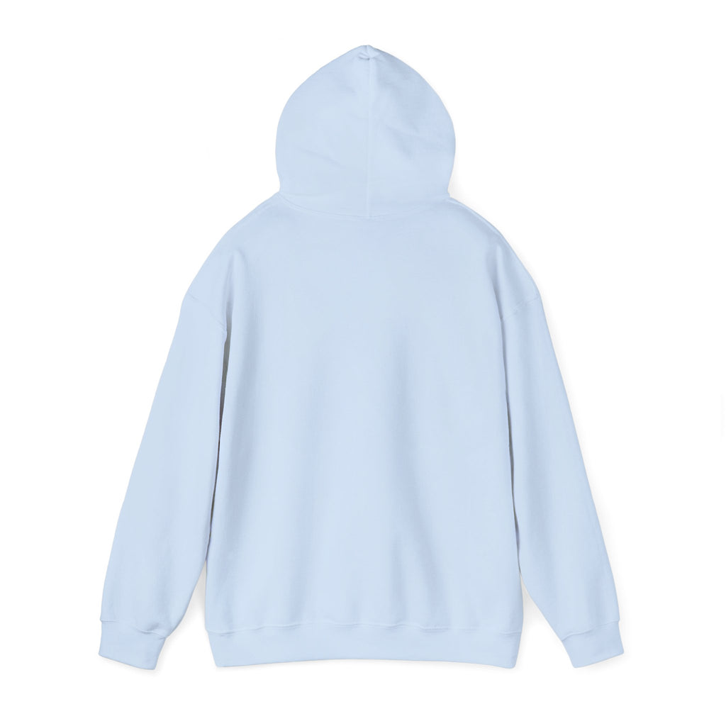 NO KINGS Hoodie – Political Shirt