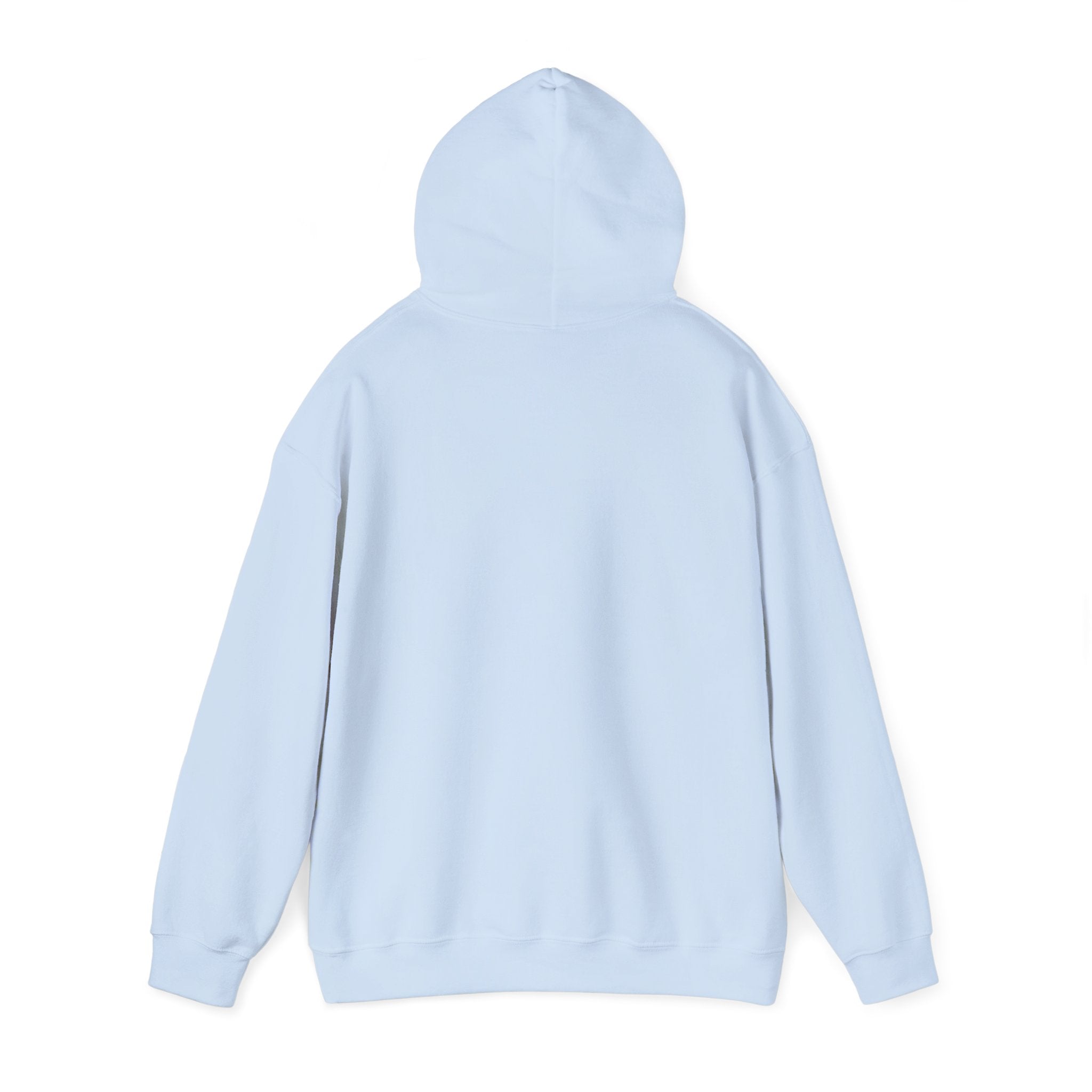 NO KINGS Hoodie – Political Shirt