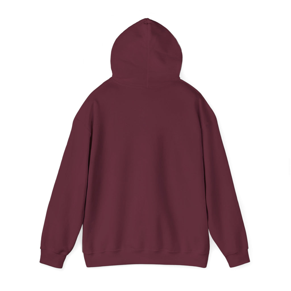 NO KINGS Hoodie – Political Shirt