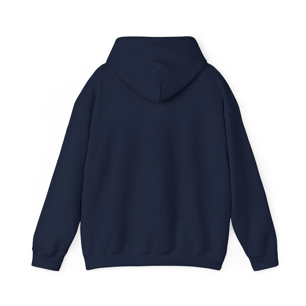 NO KINGS Hoodie – Political Shirt