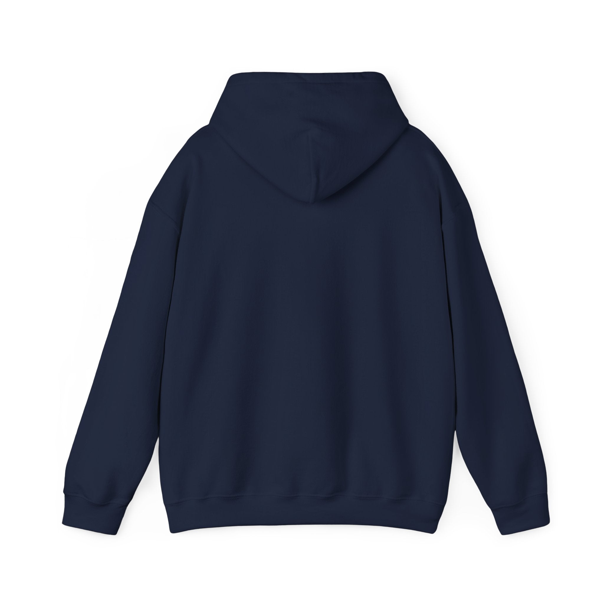 NO KINGS Hoodie – Political Shirt