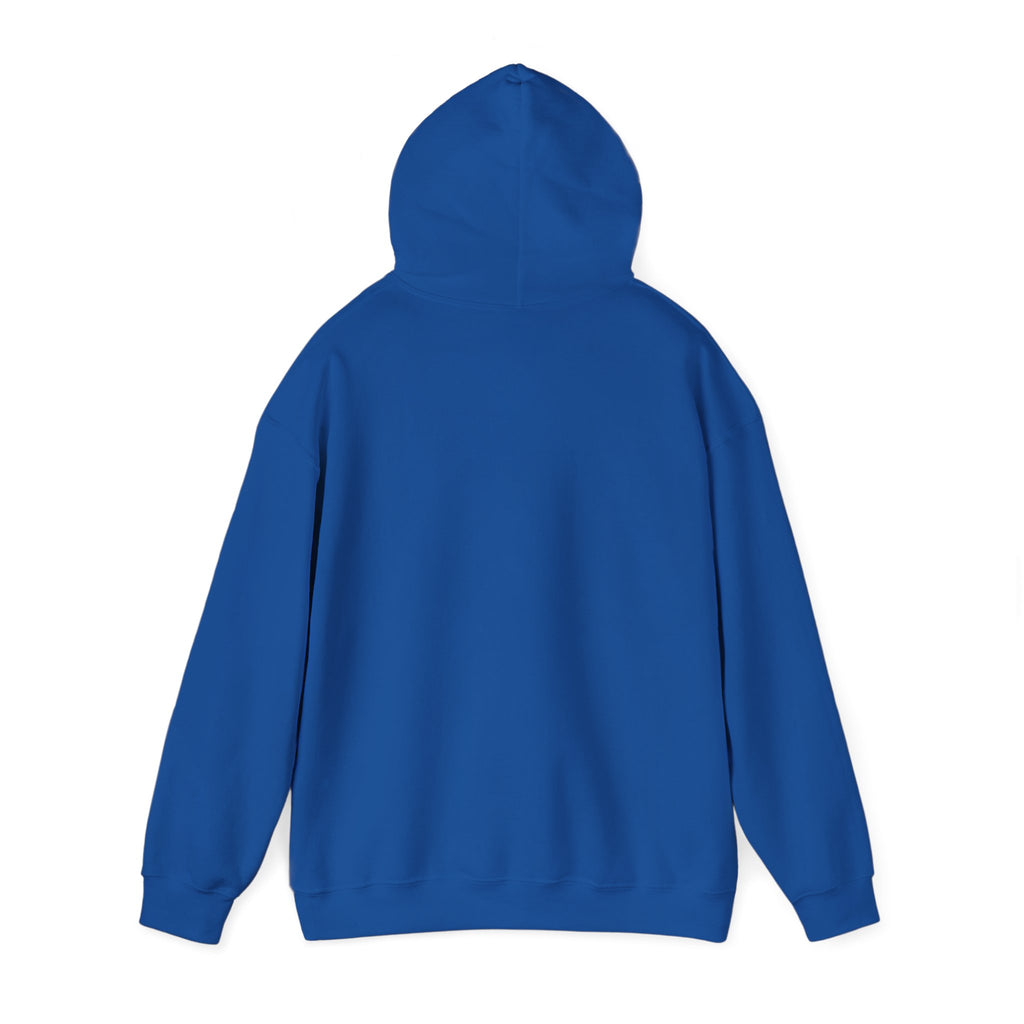 NO KINGS Hoodie – Political Shirt