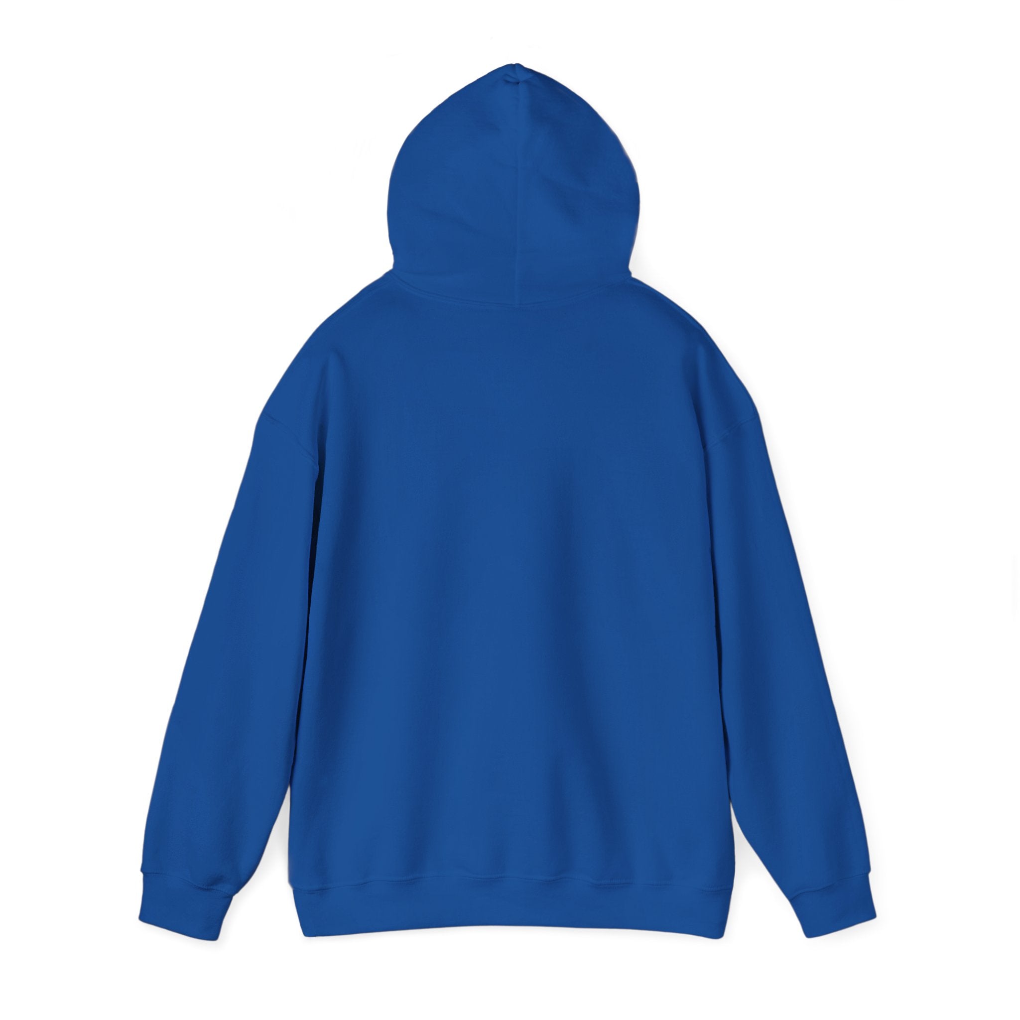 NO KINGS Hoodie – Political Shirt