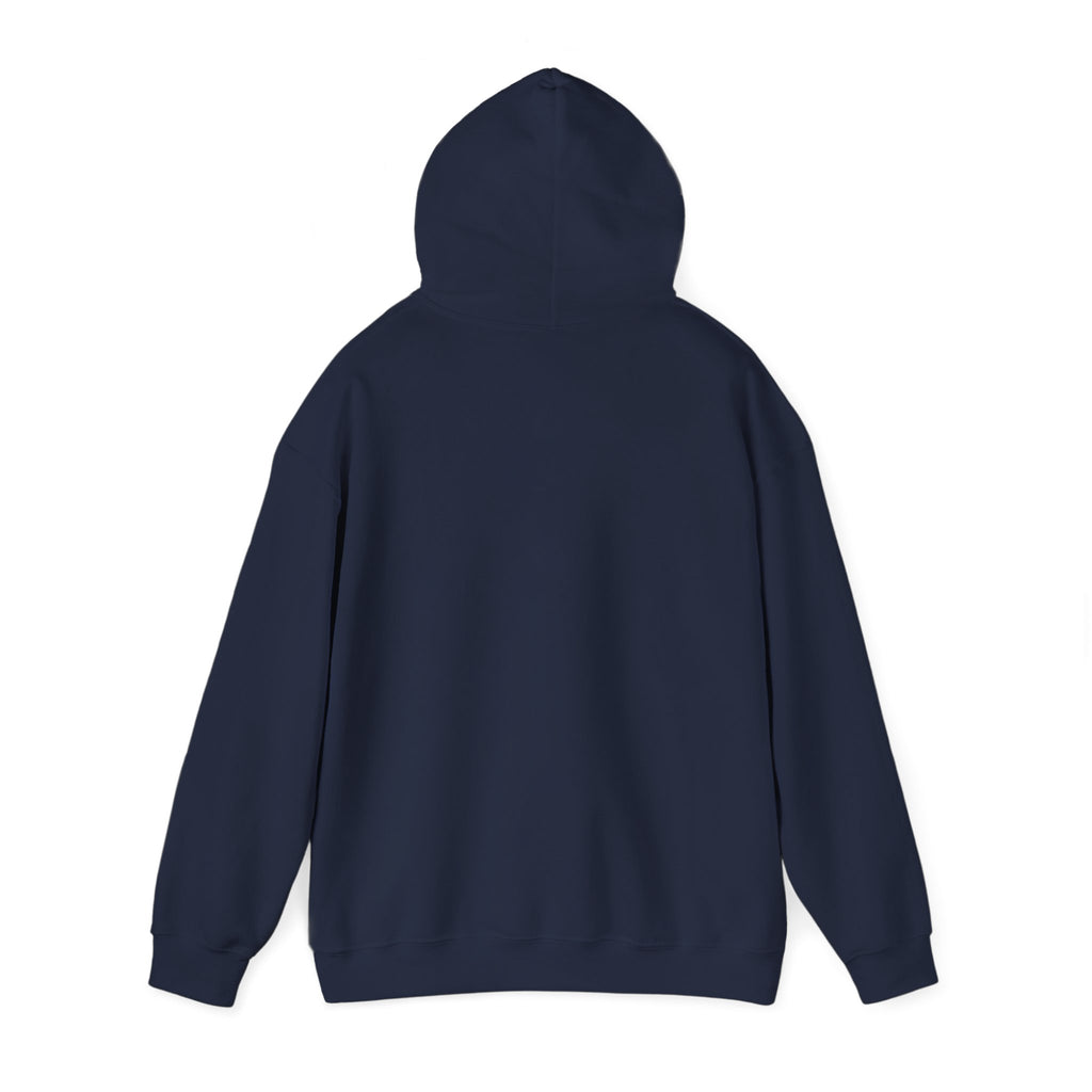 NO KINGS Hoodie – Political Shirt