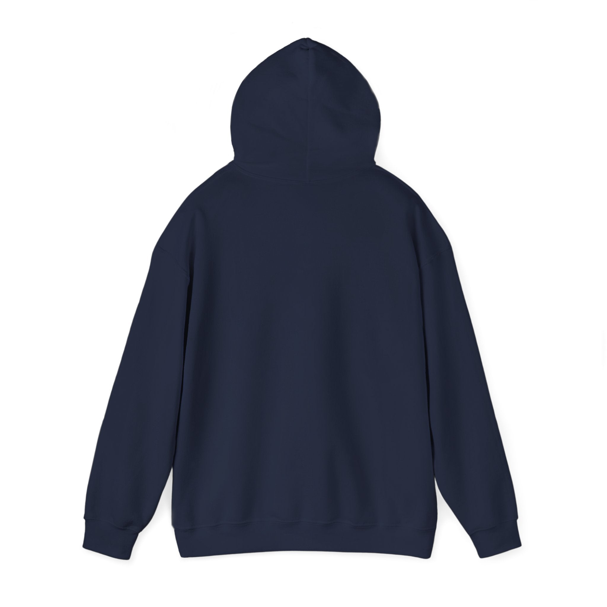 NO KINGS Hoodie – Political Shirt