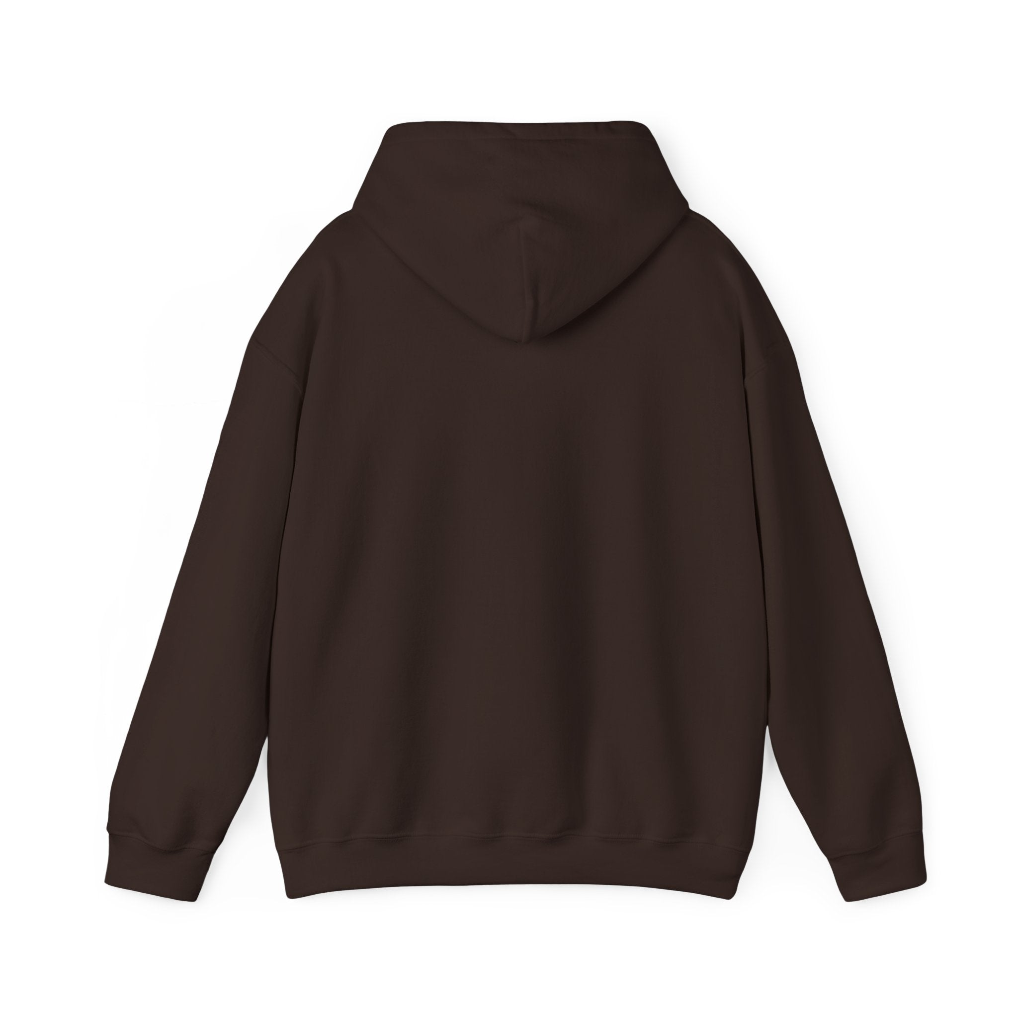 NO KINGS Hoodie – Political Shirt