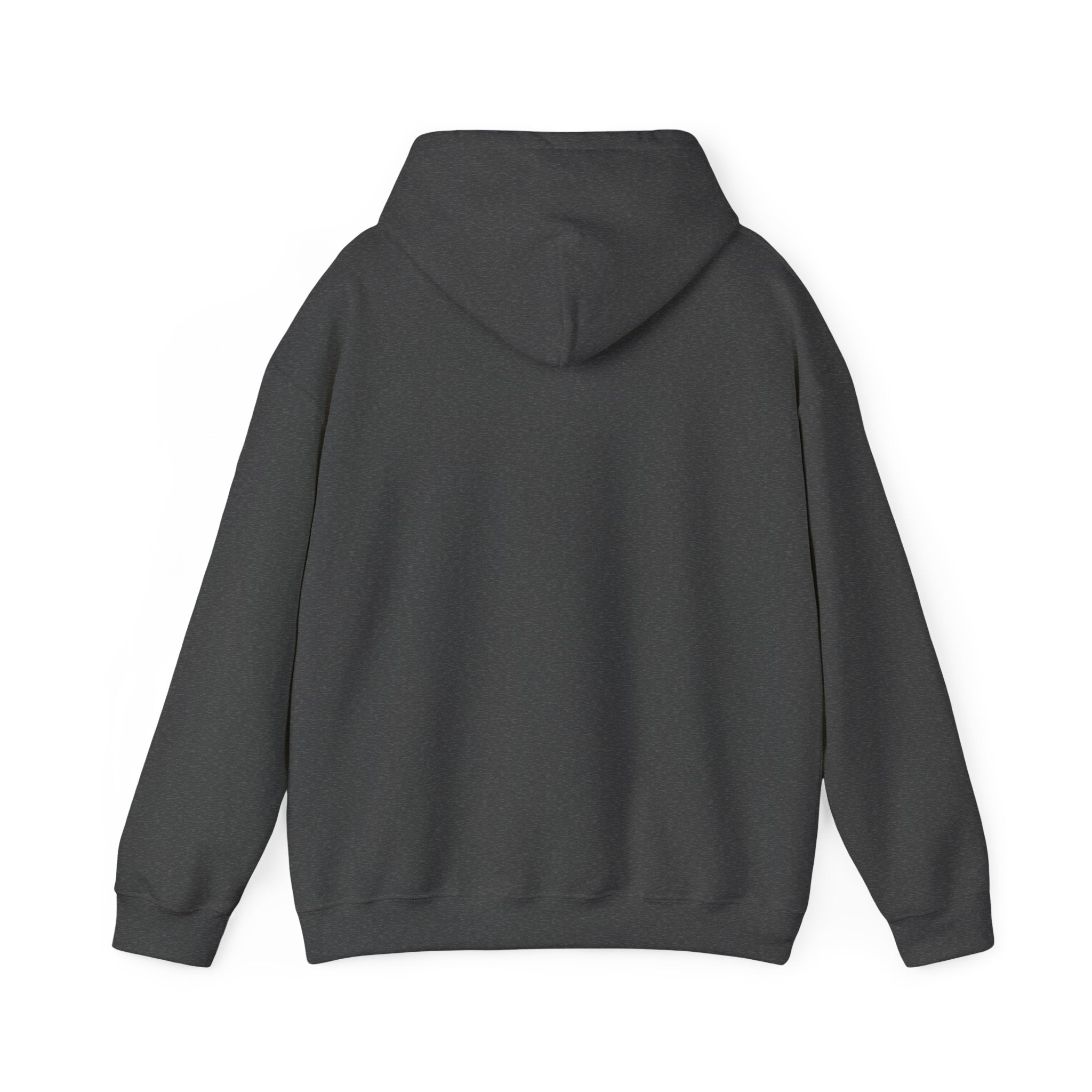 NO KINGS Hoodie – Political Shirt