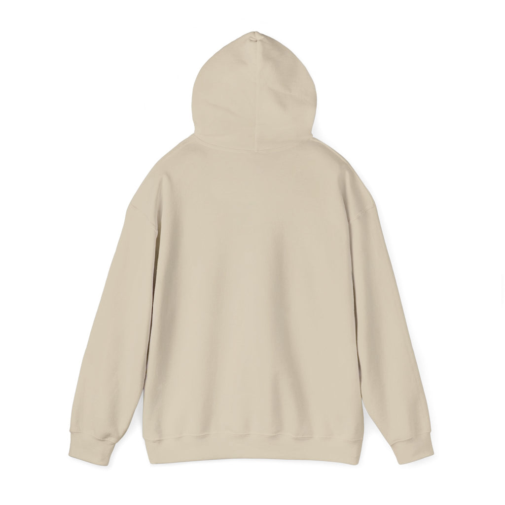 NO KINGS Hoodie – Political Shirt
