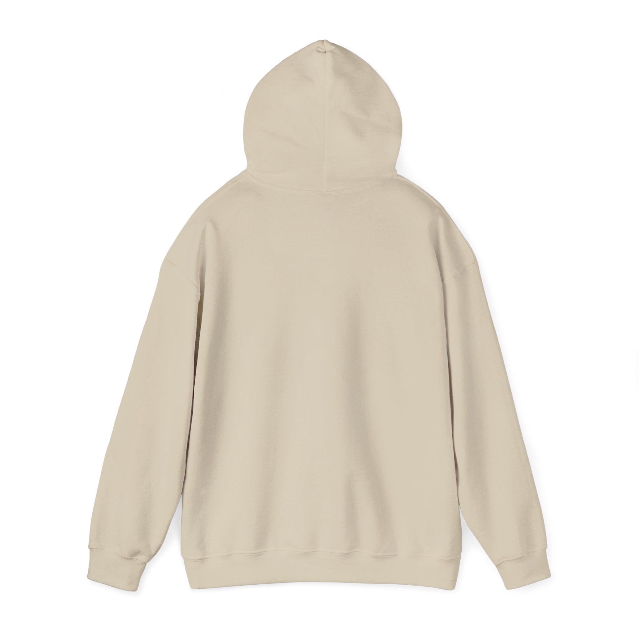 NO KINGS Hoodie – Political Shirt