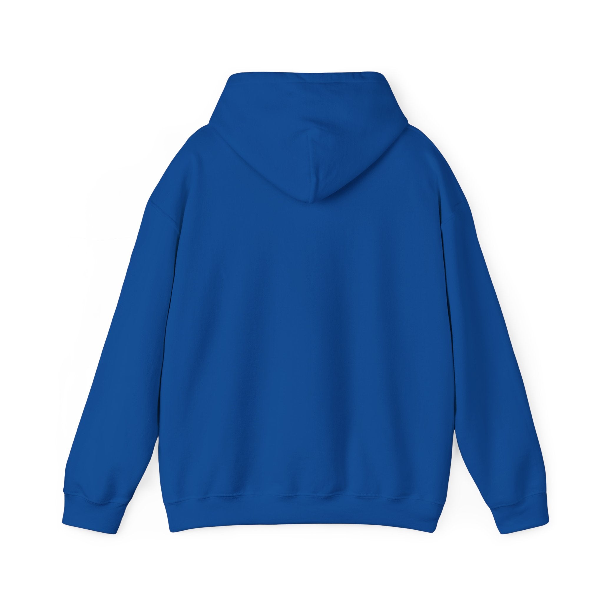 NO KINGS Hoodie – Political Shirt