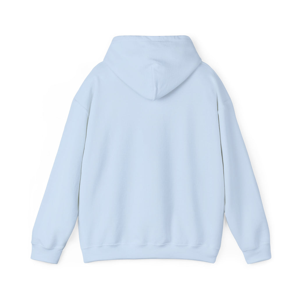 NO KINGS Hoodie – Political Shirt