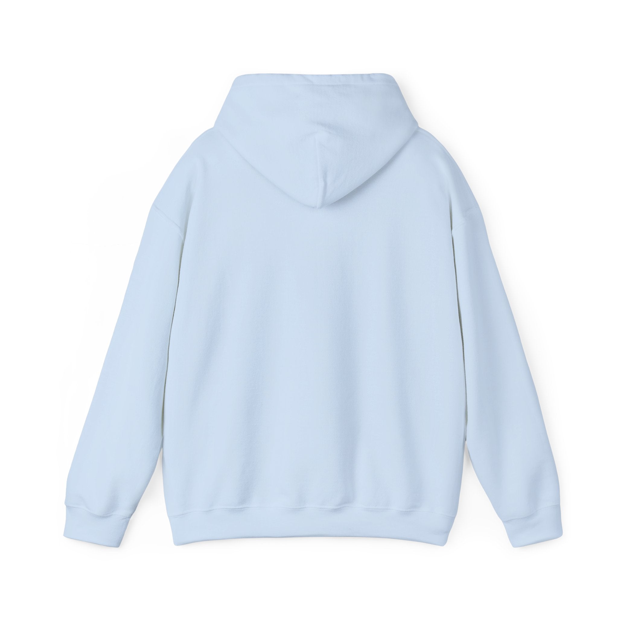 NO KINGS Hoodie – Political Shirt