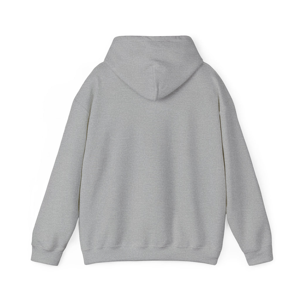 NO KINGS Hoodie – Political Shirt