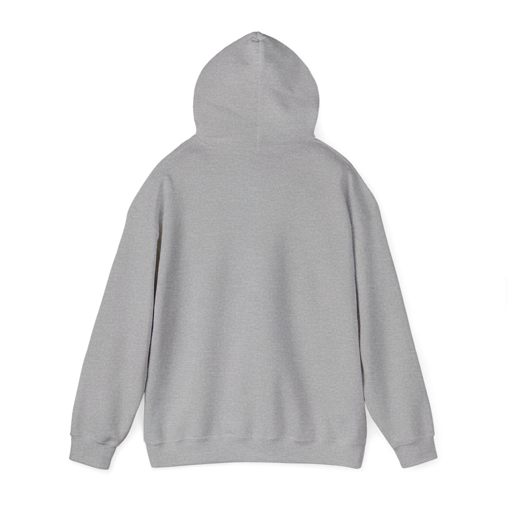 NO KINGS Hoodie – Political Shirt
