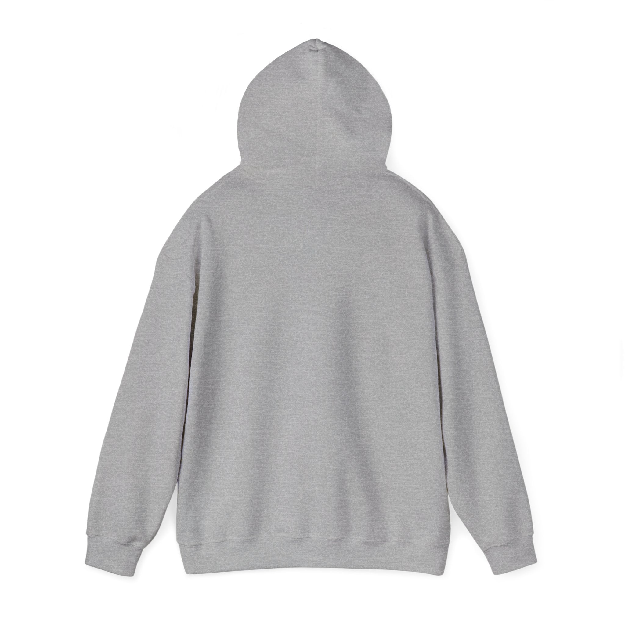 NO KINGS Hoodie – Political Shirt