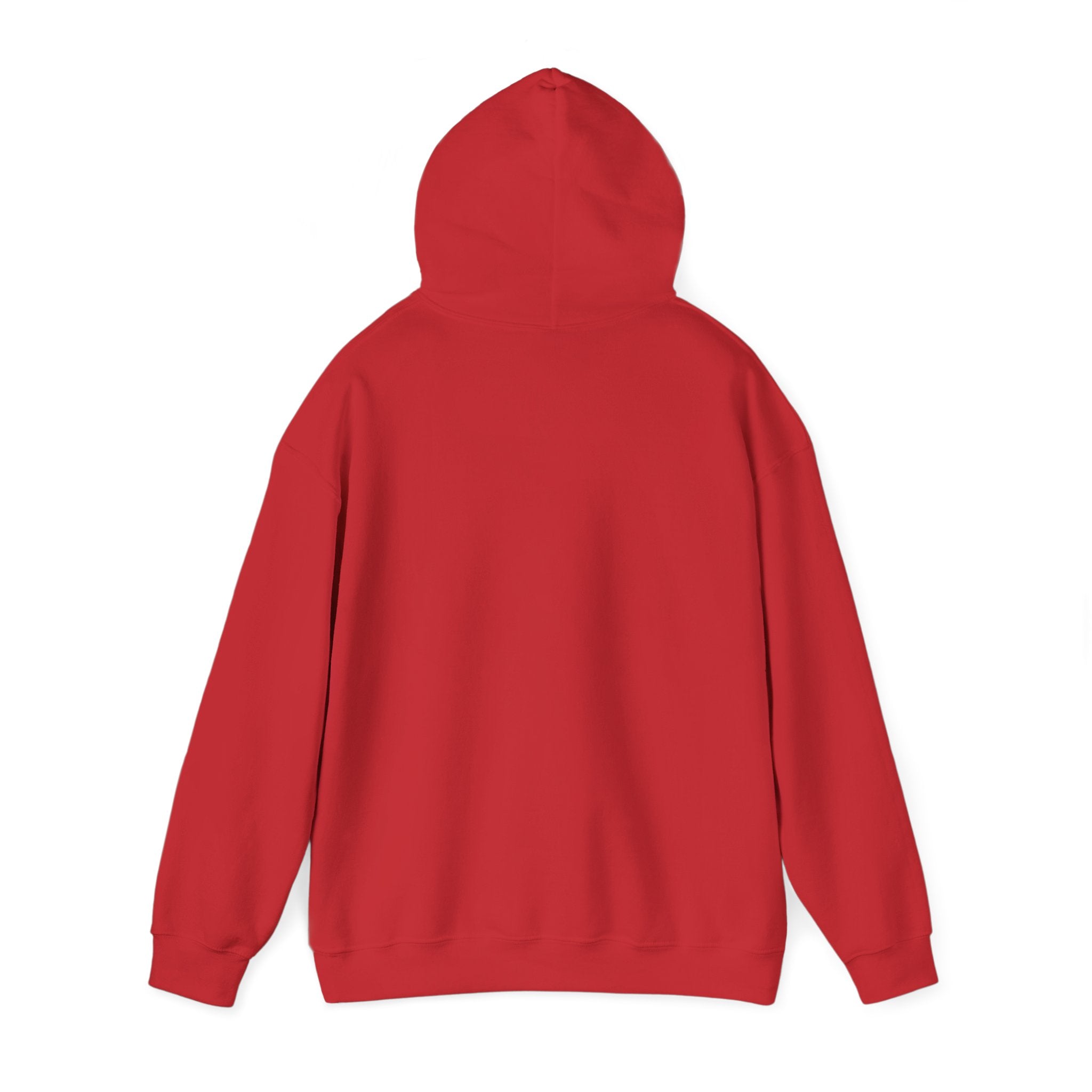 NO KINGS Hoodie – Political Shirt