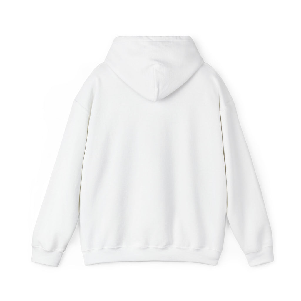 NO KINGS Hoodie – Political Shirt