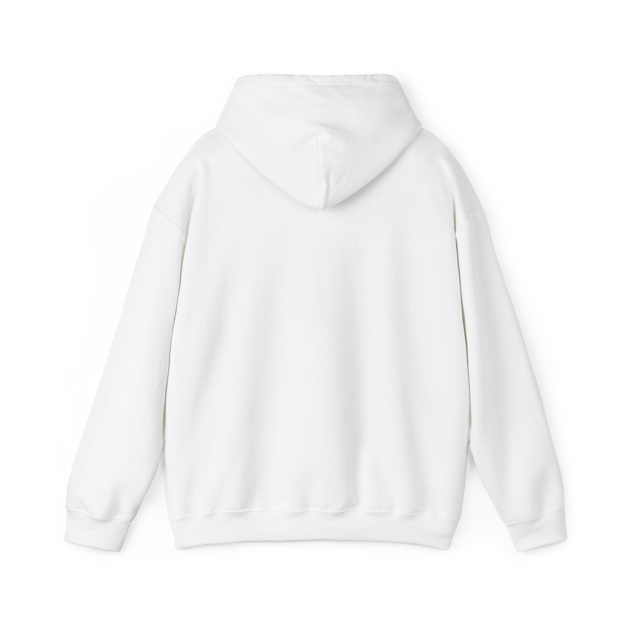NO KINGS Hoodie – Political Shirt